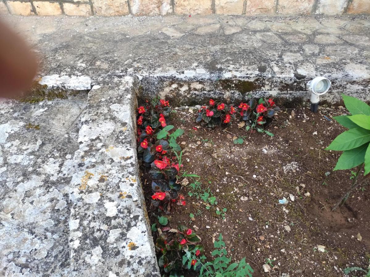 La Dimora Del Cuore Monopoli Exterior foto